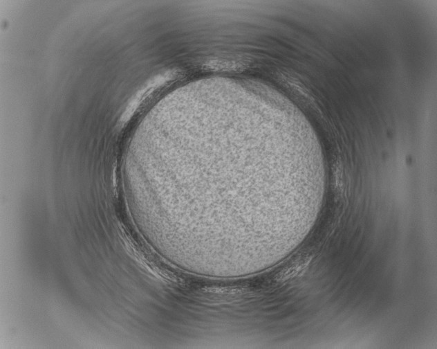 X0000053050733200508011847