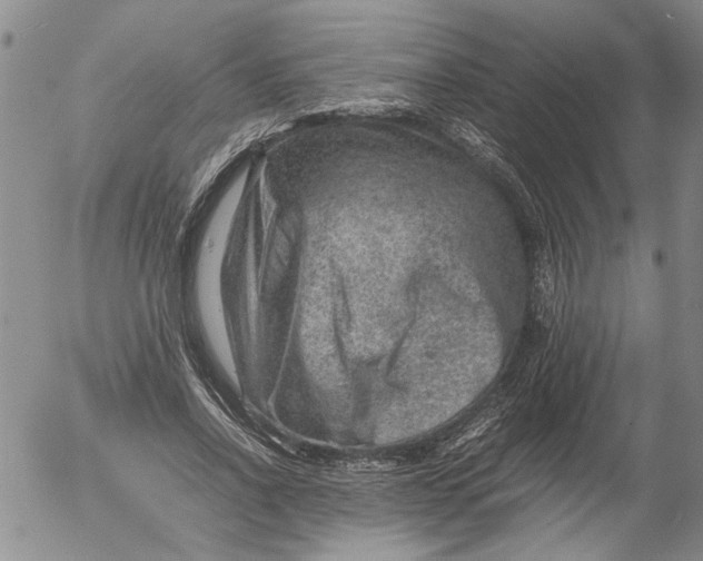 X0000053050734200508011847