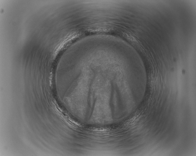 X0000053050735200508011847