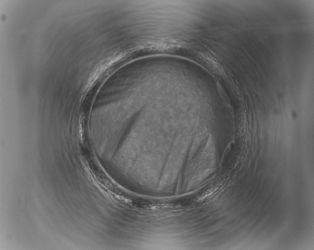 X0000053050736200508011847