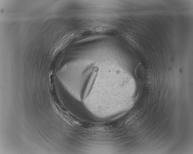 X0000053050738200508011847