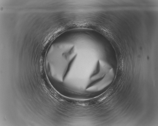 X0000053050740200508011847