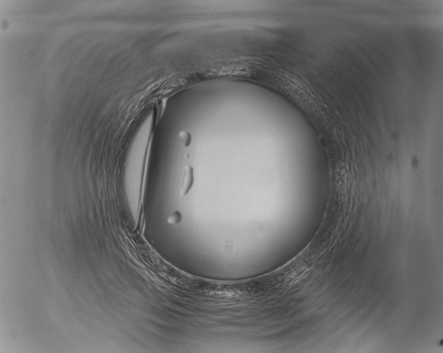 X0000053050741200508011847