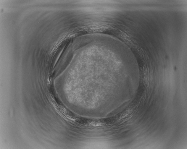 X0000053050742200508011847