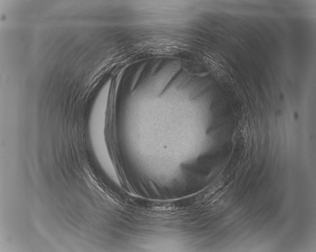 X0000053050744200508011847