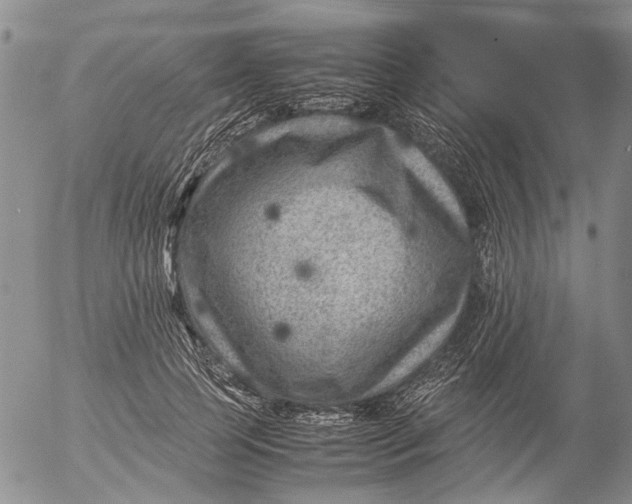 X0000053050745200508011847