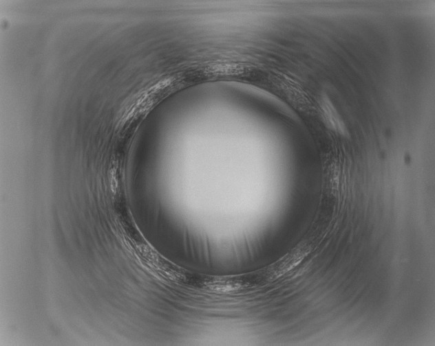 X0000053050746200508011847