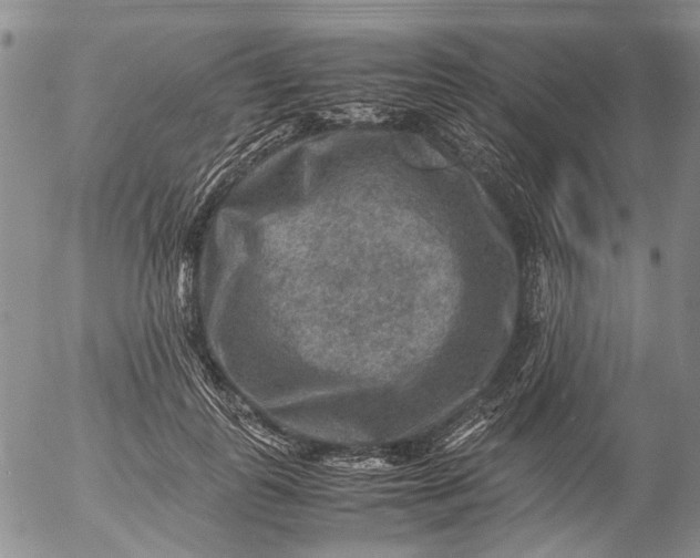 X0000053050747200508011847