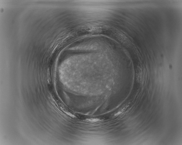 X0000053050748200508011847