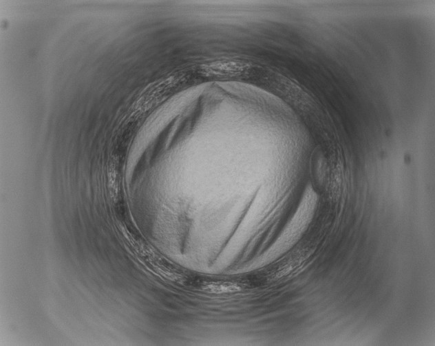 X0000053050749200508011847