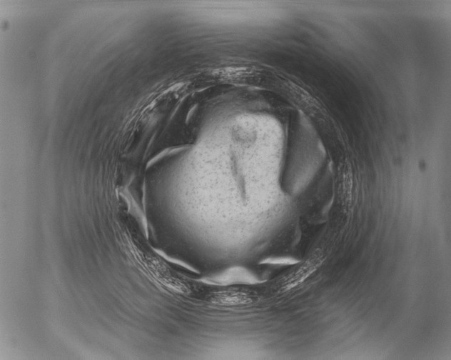 X0000053050750200508011847