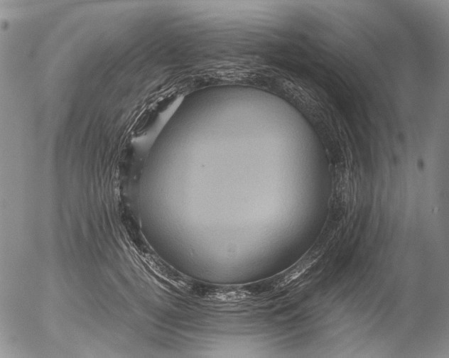 X0000053050752200508011847