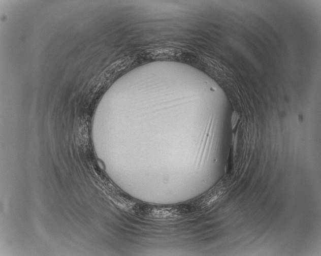 X0000053050753200508011847