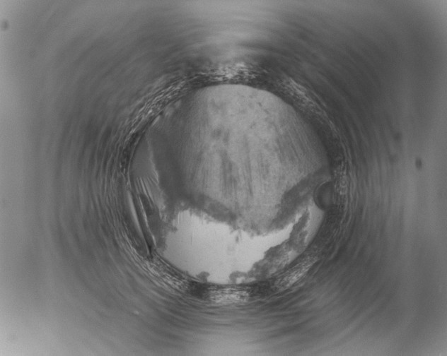 X0000053050754200508011847