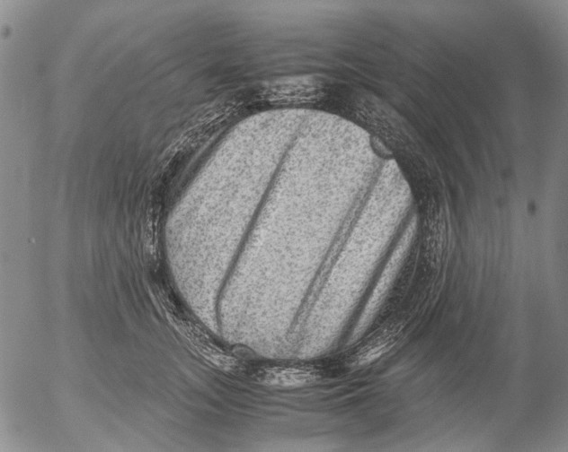 X0000053050755200508011847