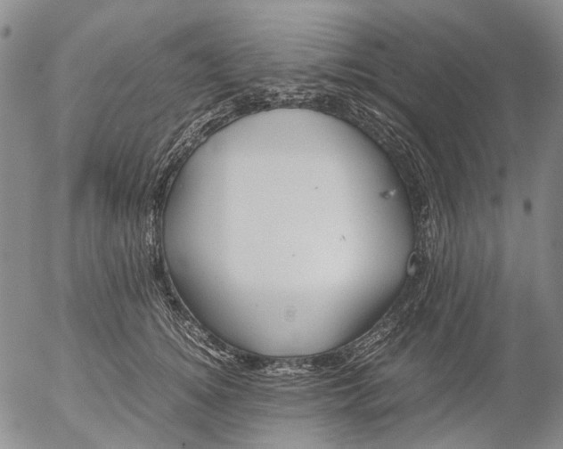 X0000053050756200508011847