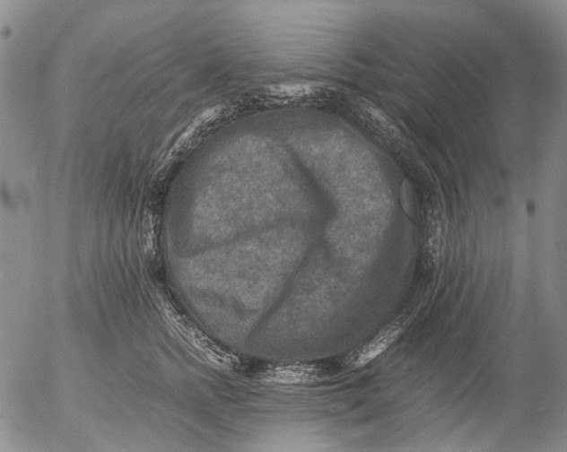 X0000053050758200508011847