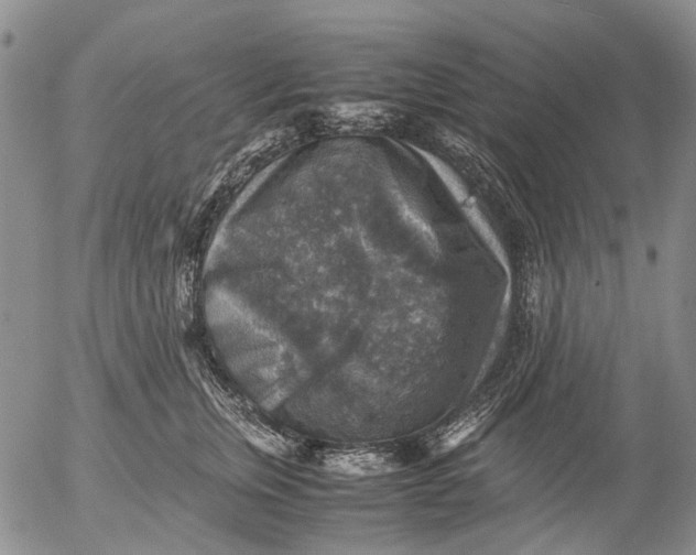 X0000053050759200508011847