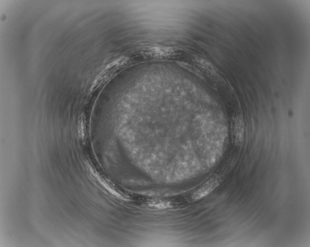 X0000053050760200508011847