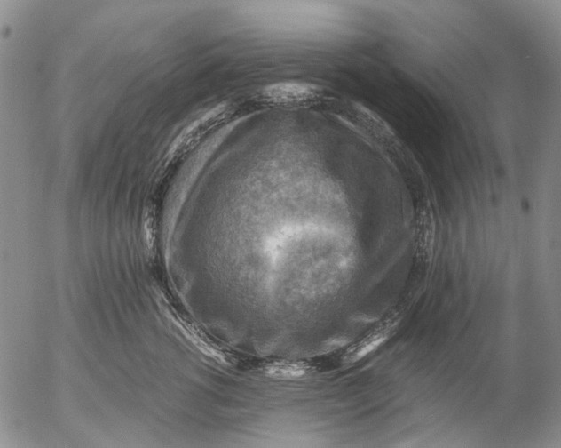 X0000053050762200508011848