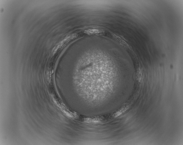 X0000053050763200508011848