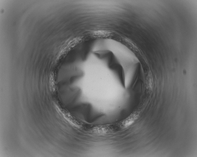 X0000053050764200508011848