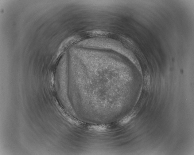 X0000053050765200508011848