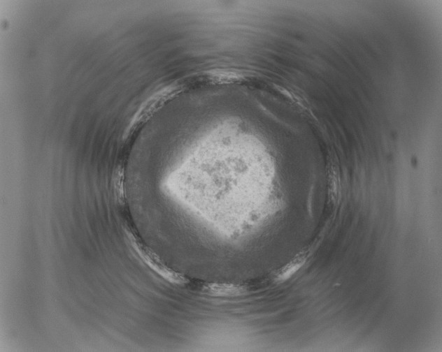 X0000053050766200508011848