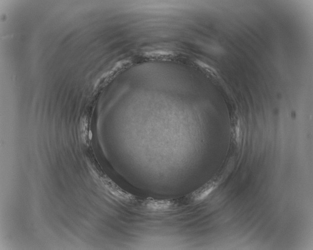 X0000053050767200508011848