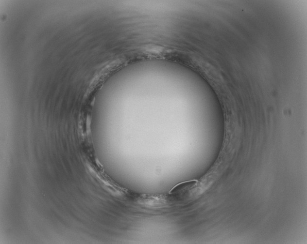 X0000053050768200508011848