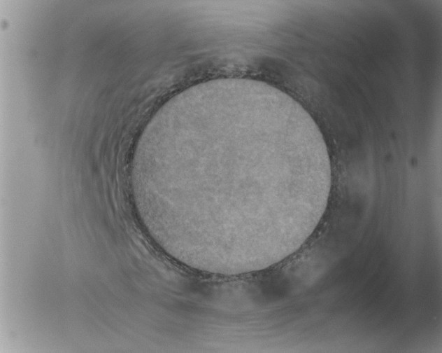 X0000053050769200508011847