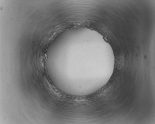 X0000053050770200508011847