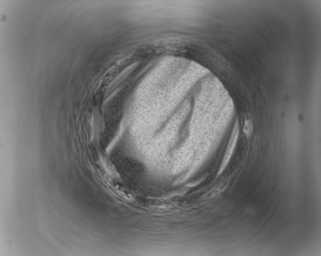 X0000053050771200508011847