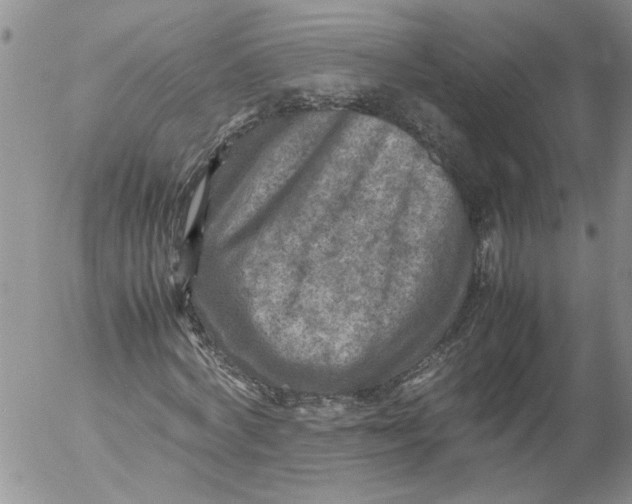 X0000053050772200508011847