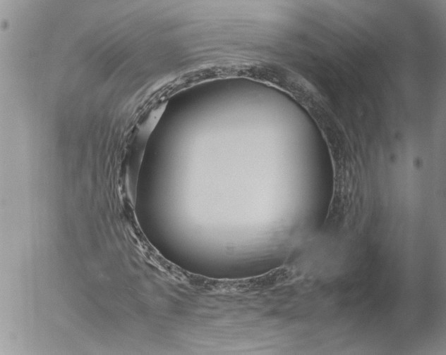 X0000053050773200508011847