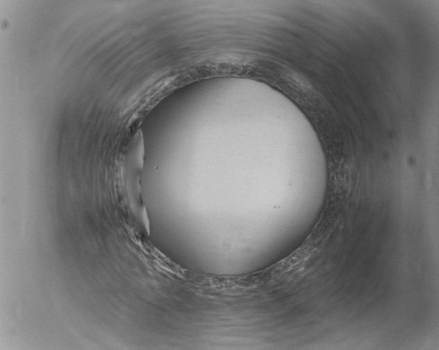 X0000053050774200508011847