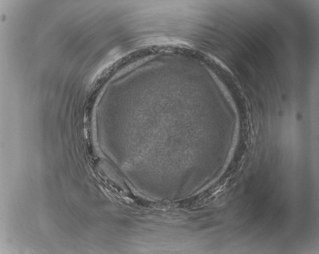 X0000053050775200508011847