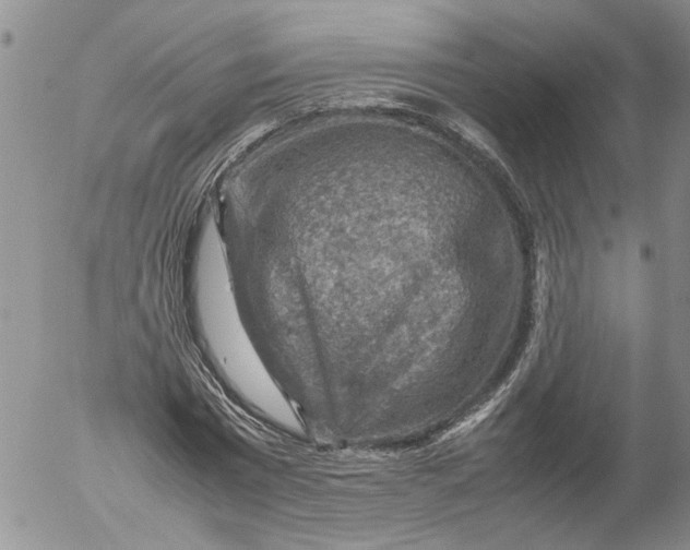 X0000053050777200508011847