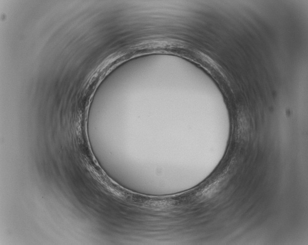 X0000053050778200508011847