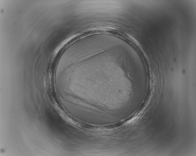 X0000053050779200508011847