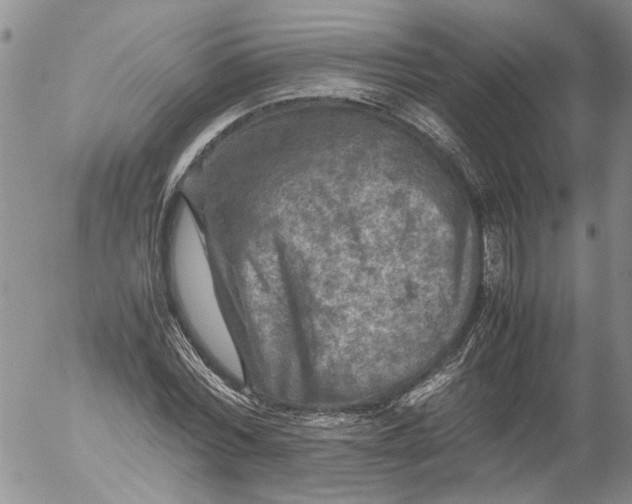 X0000053050780200508011847