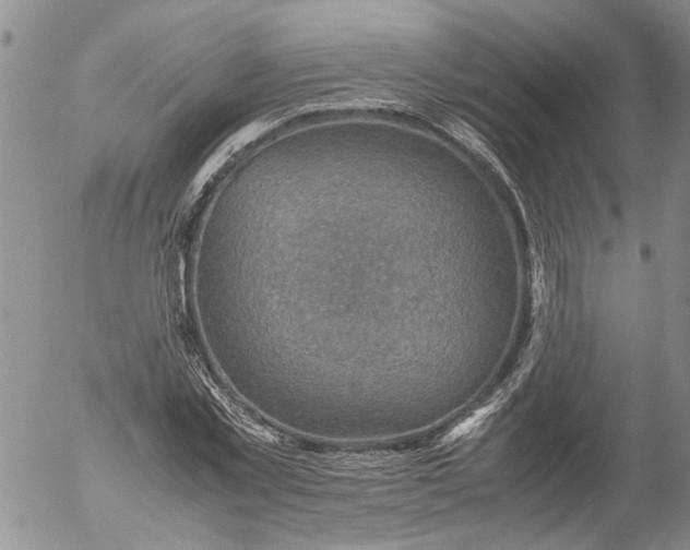 X0000053050781200508011847