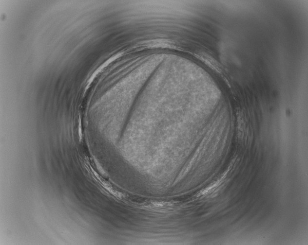 X0000053050782200508011847