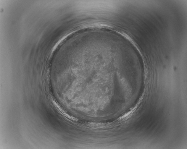 X0000053050783200508011847