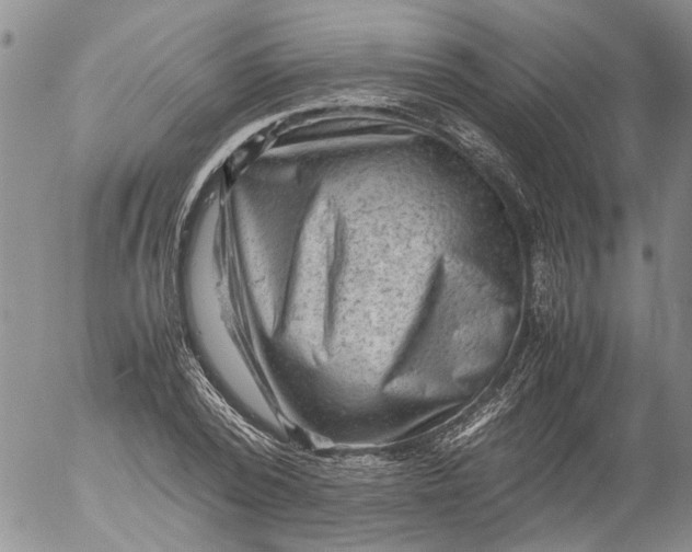 X0000053050784200508011847