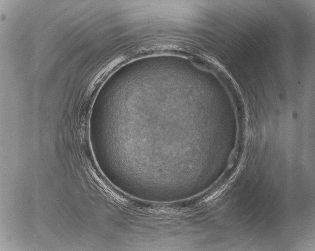 X0000053050785200508011847