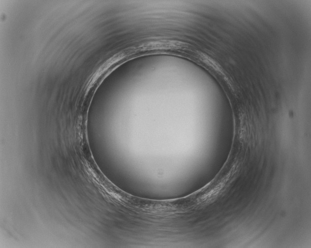 X0000053050786200508011847