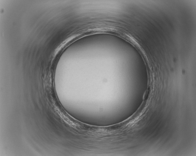 X0000053050787200508011847