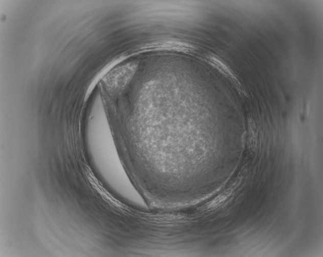 X0000053050788200508011847