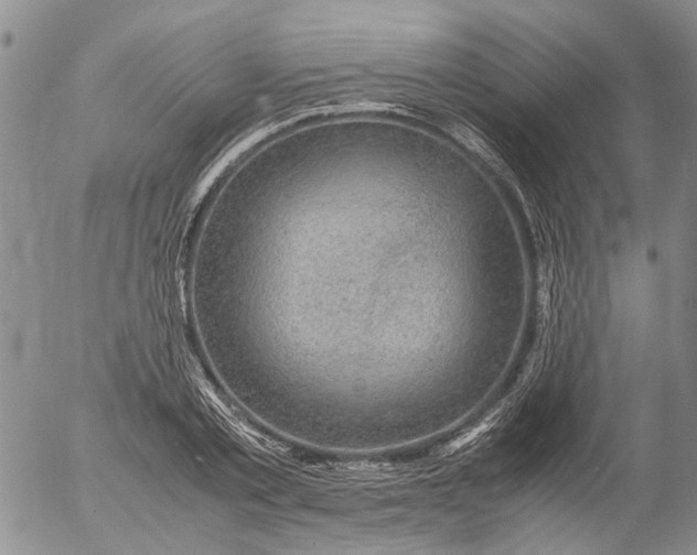 X0000053050789200508011846